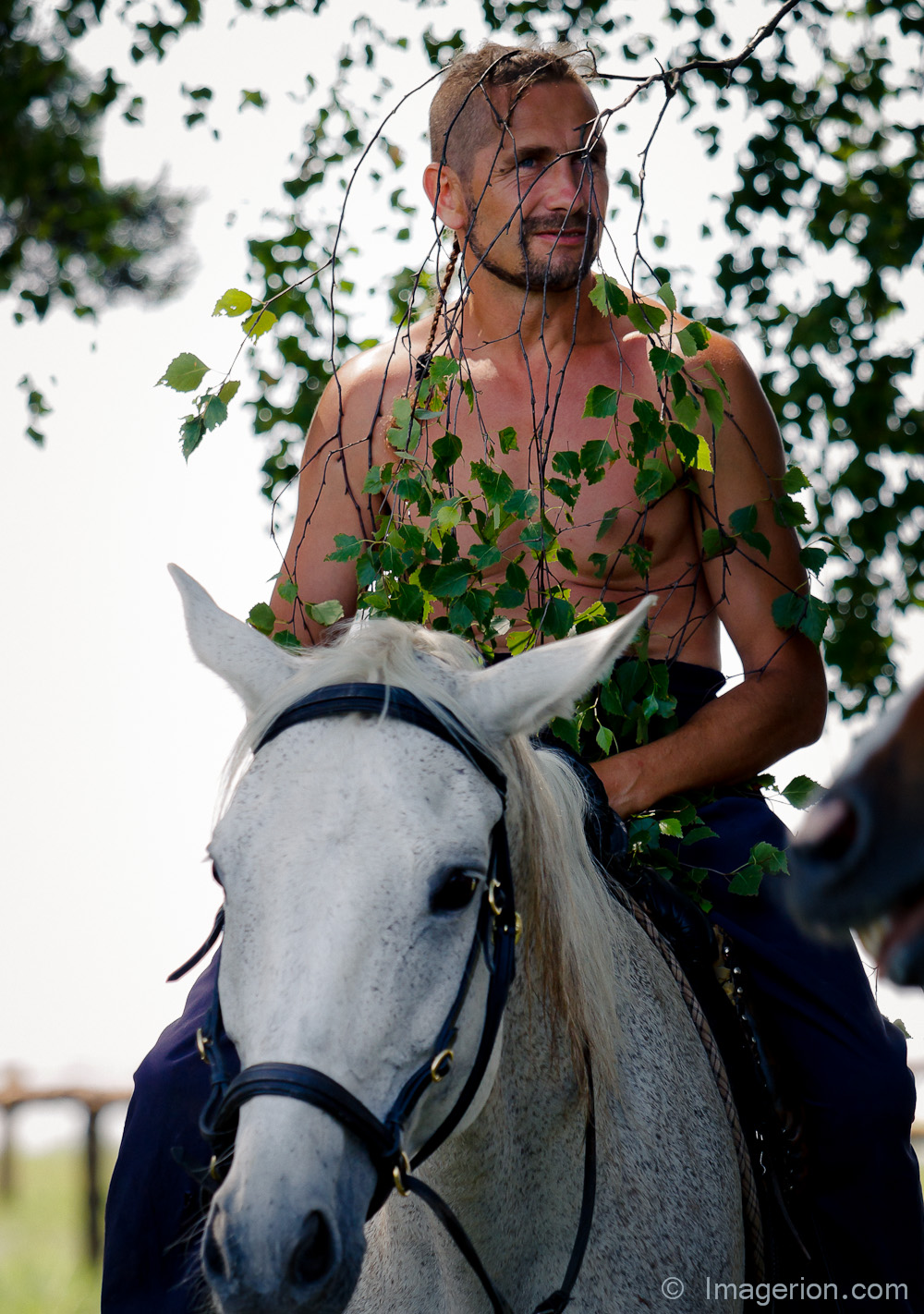 Man without a shirt riding horseback, covered by a tree branch