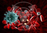 Image in use: The Immune Response, Not Viruses, Causes Neurological Damage – Scientists