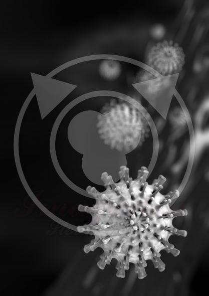 virus shown in the image