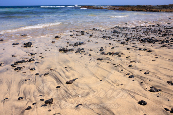 Round boulders, black stones on a sandy beach